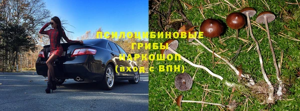 первитин Алексин