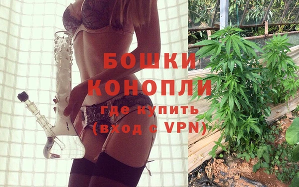 дурь Алзамай
