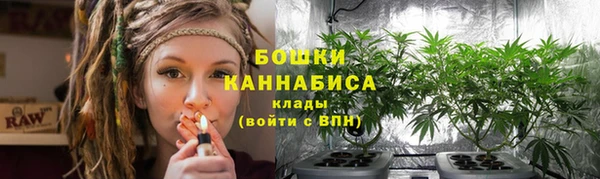 прущие грибы Ветлуга
